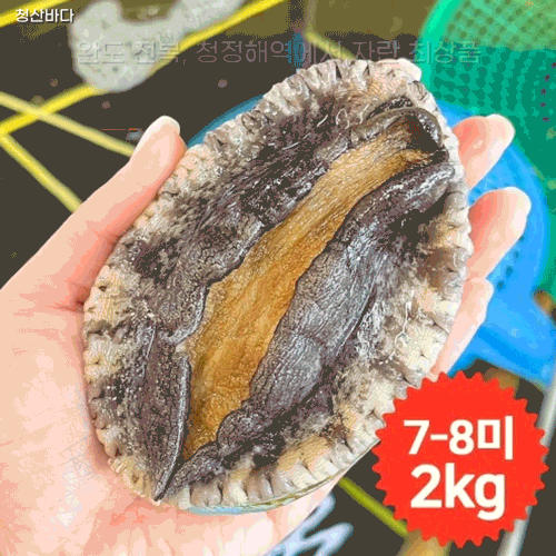 완도청정마켓[청산바다] 특대복 7-8미 2kg 활전복 (약 14~16마리)[청산바다] 특대복 7-8미 2kg 활전복 (약 14~16마리)(주)청산바다기본트렌드