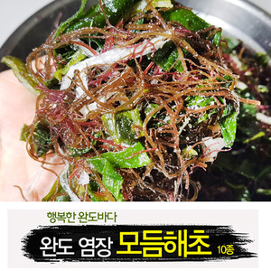 [평화물산]완도 염장 모듬해초15종(1kg)