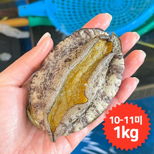 완도청정마켓[청산바다] 대복 10-11미 1kg 활전복[청산바다] 대복 10-11미 1kg 활전복(주)청산바다기본트렌드